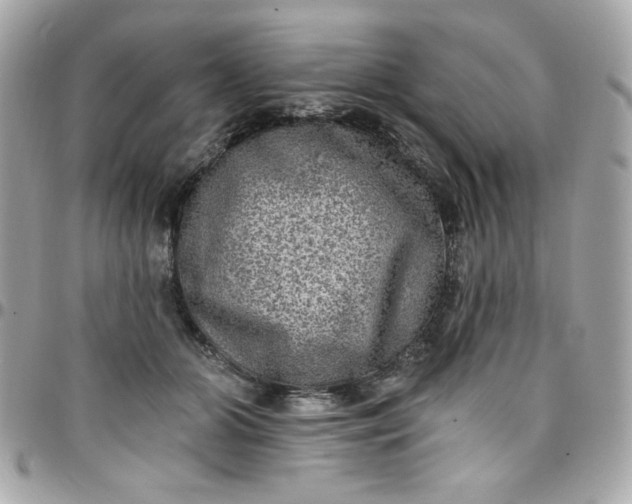 X0000097790510200803211824