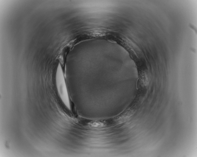 X0000097790512200803211824