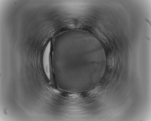 X0000097790516200803211824