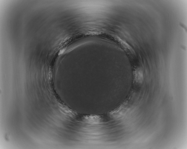 X0000097790517200803211824