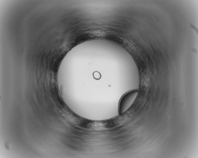 X0000097790518200803211824