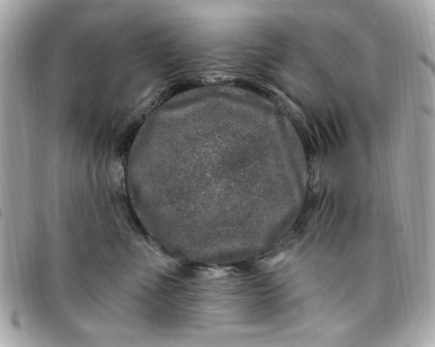 X0000097790523200803211824