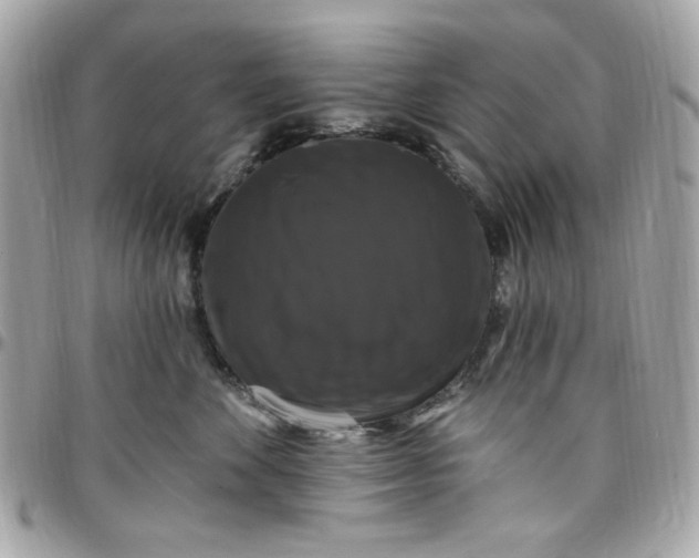 X0000097790524200803211824