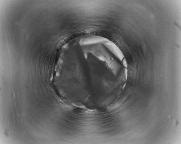 X0000097790527200803211824