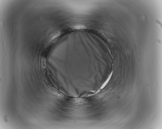 X0000097790528200803211824