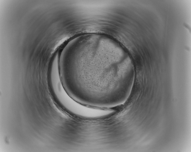 X0000097790530200803211823