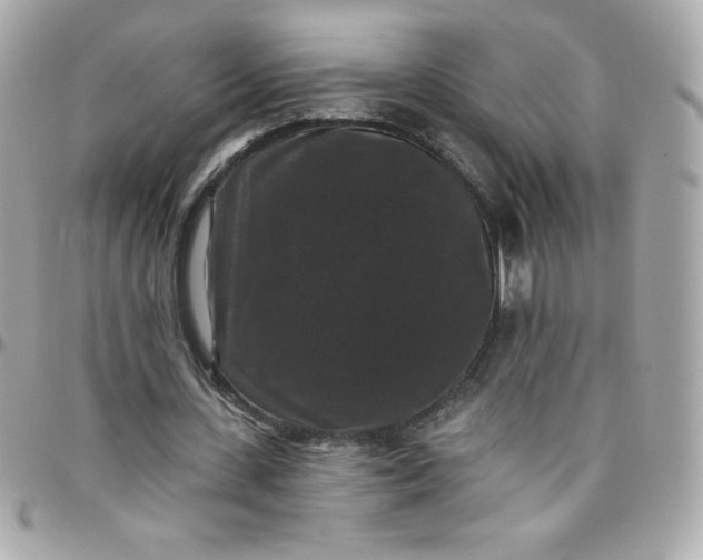 X0000097790531200803211823
