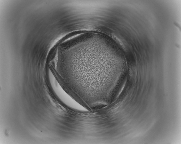 X0000097790532200803211823
