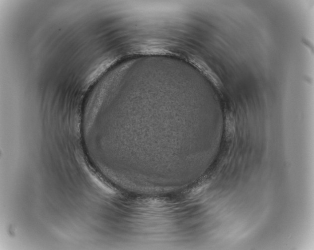 X0000097790533200803211823