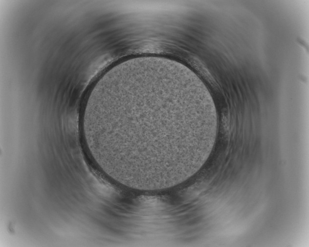 X0000097790534200803211823
