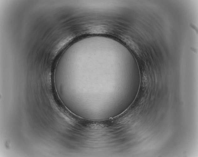 X0000097790535200803211823