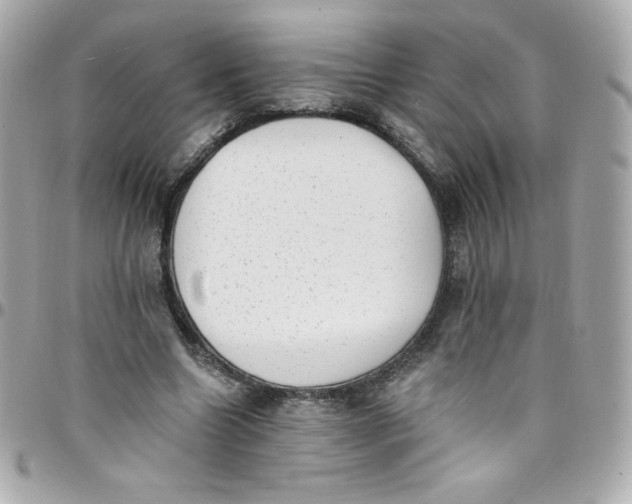 X0000097790538200803211823