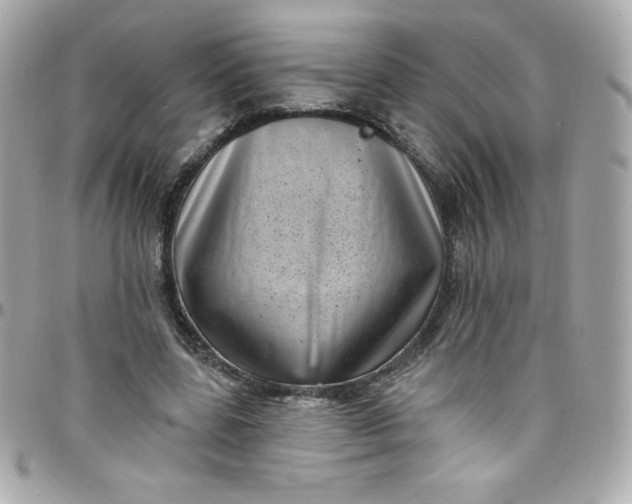 X0000097790539200803211823