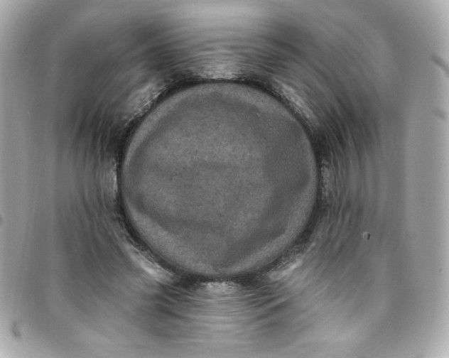 X0000097790541200803211823