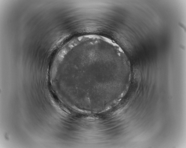 X0000097790542200803211823