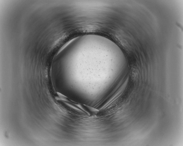 X0000097790543200803211823