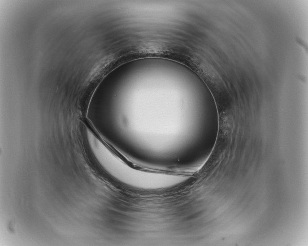 X0000097790544200803211823