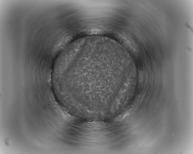 X0000097790545200803211823
