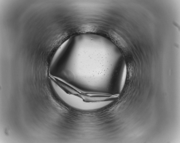 X0000097790546200803211823