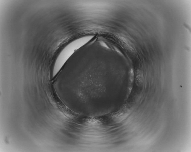 X0000097790547200803211823