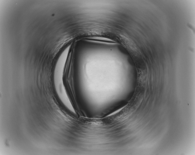 X0000097790548200803211823
