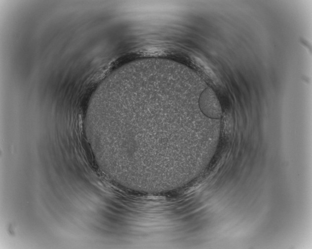 X0000097790549200803211823