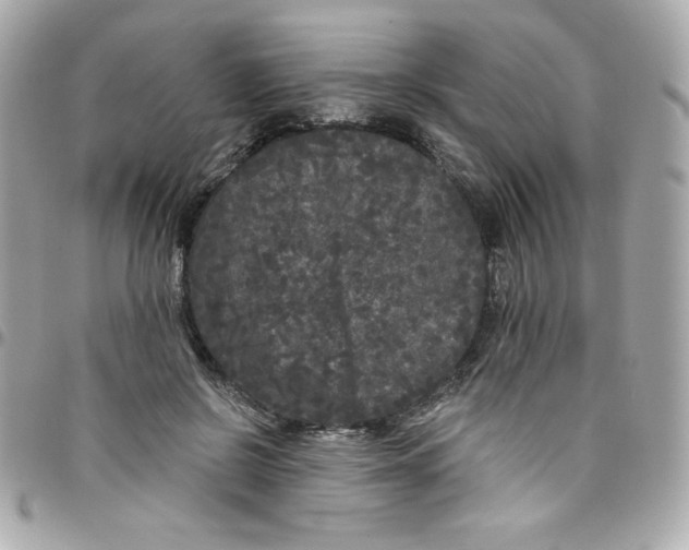 X0000097790550200803211823