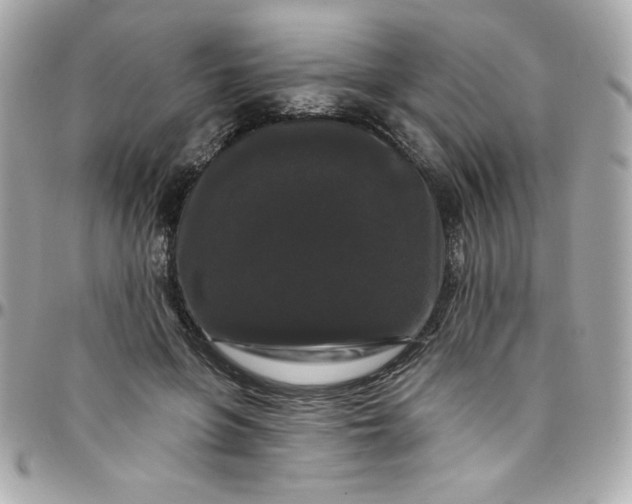 X0000097790551200803211823