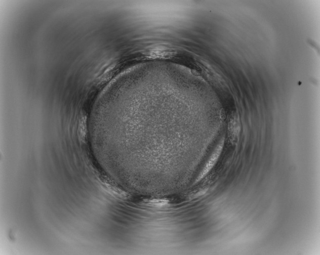 X0000097790554200803211823