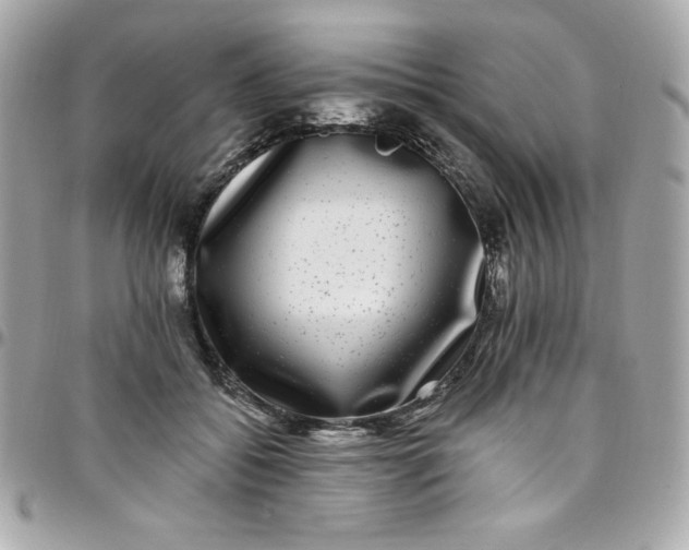 X0000097790556200803211823