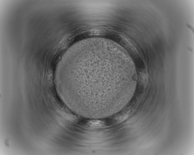X0000097790557200803211823