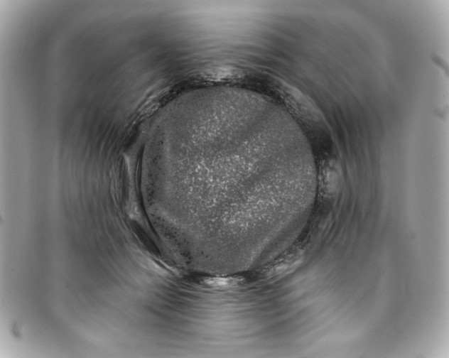 X0000097790558200803211823