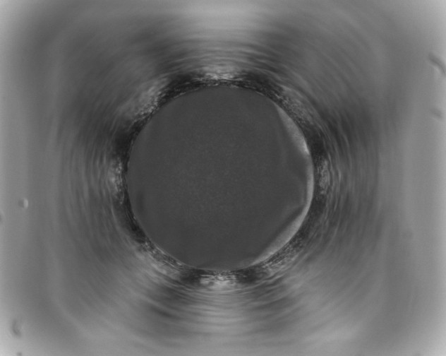 X0000097790559200803211823