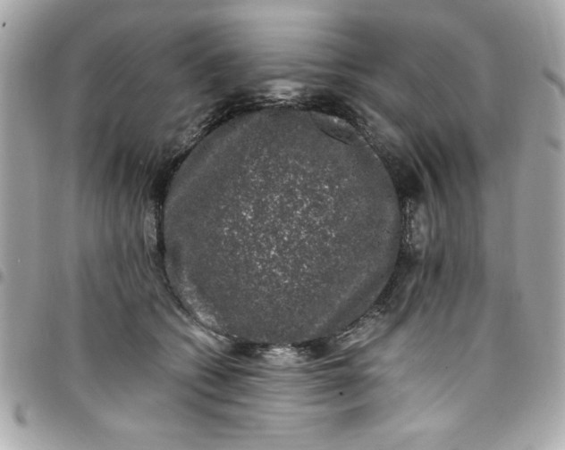 X0000097790562200803211823