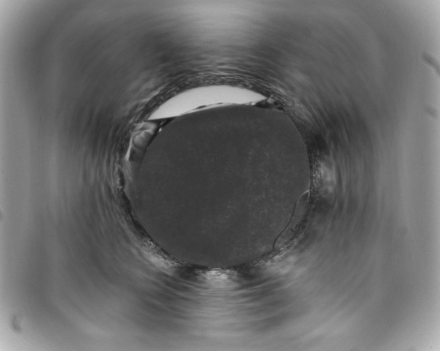 X0000097790566200803211823