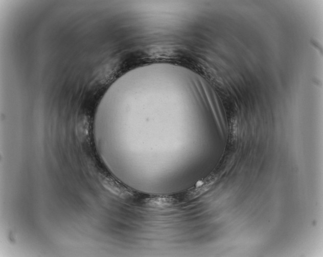 X0000097790567200803211823