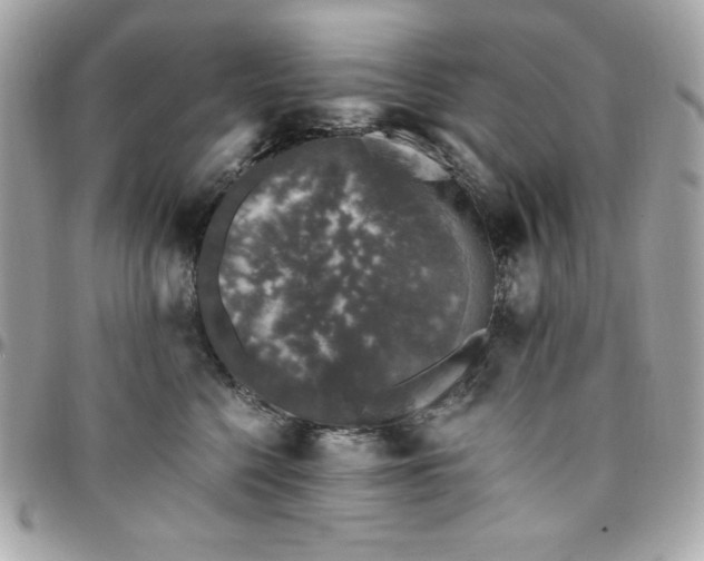 X0000097790568200803211823