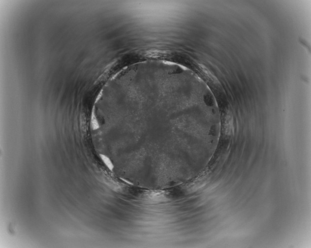 X0000097790569200803211823