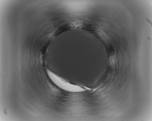 X0000097790570200803211823