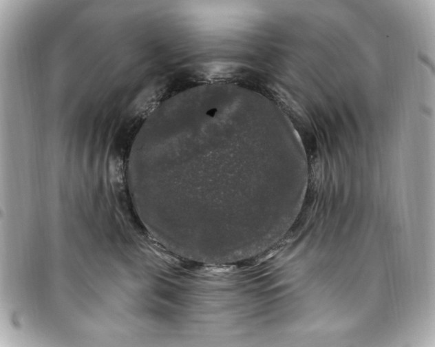X0000097790571200803211823