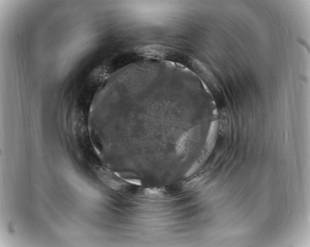 X0000097790573200803211823