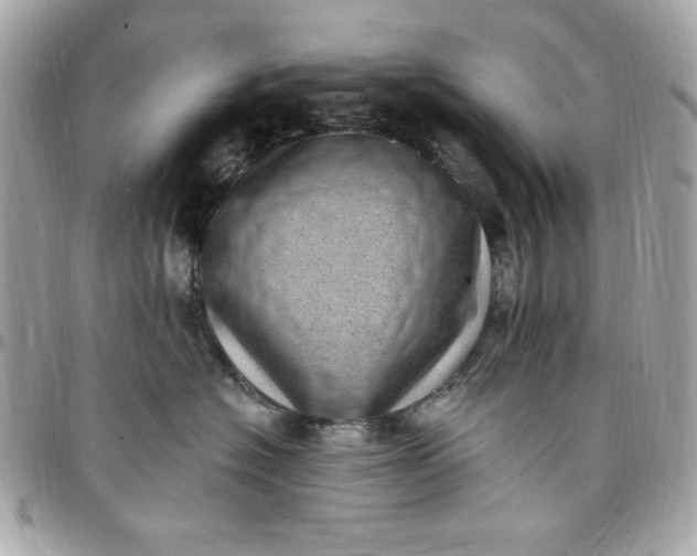 X0000097790574200803211823