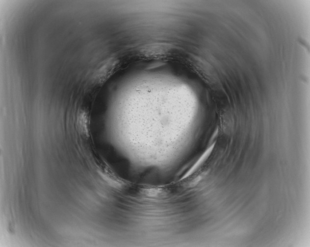 X0000097790575200803211823