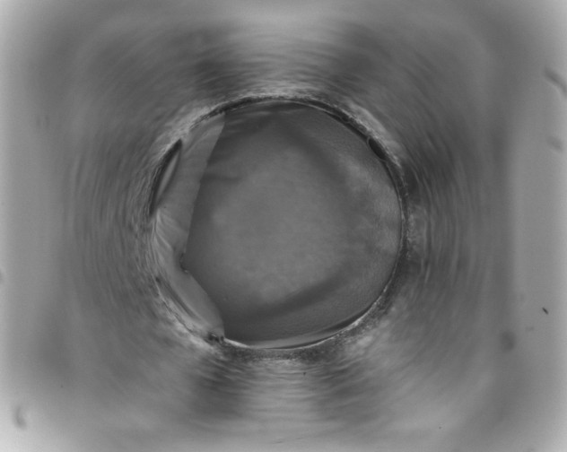 X0000097790577200803211823