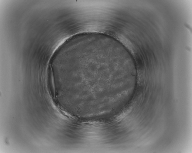 X0000097790580200803211823