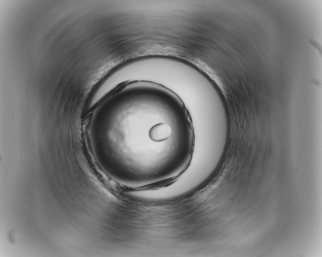 X0000097790581200803211823