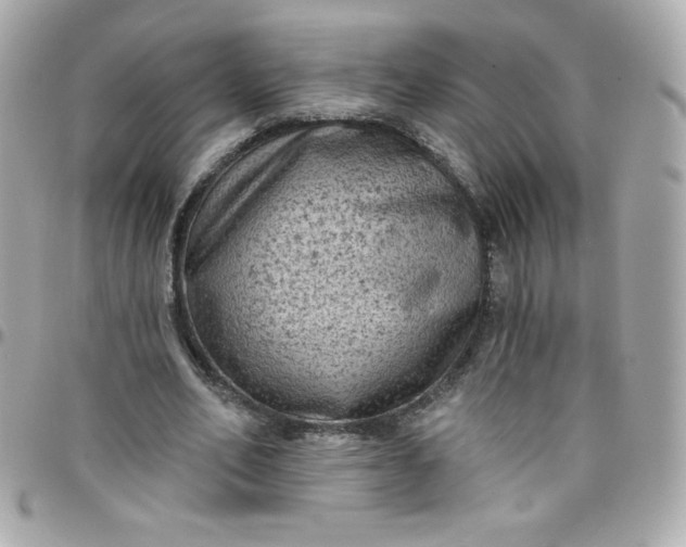 X0000097790582200803211823