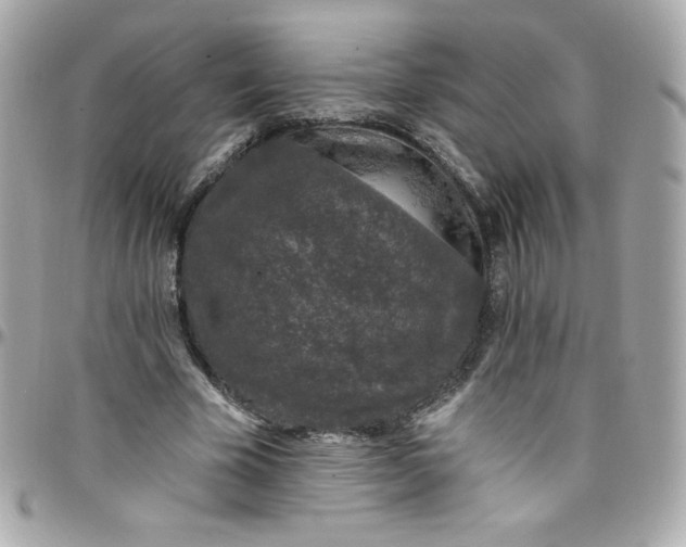 X0000097790585200803211823