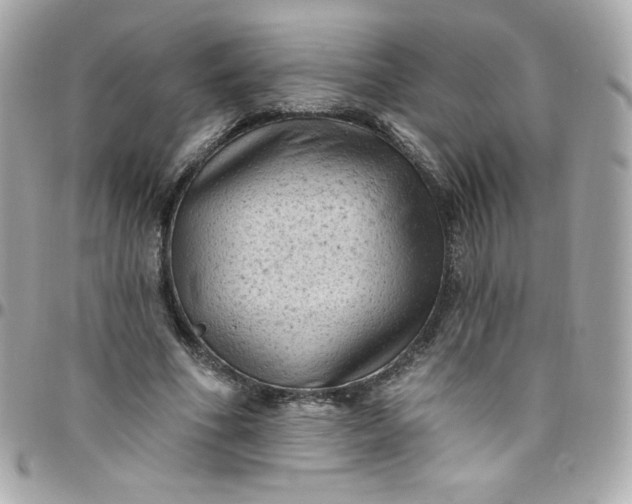 X0000097790586200803211823