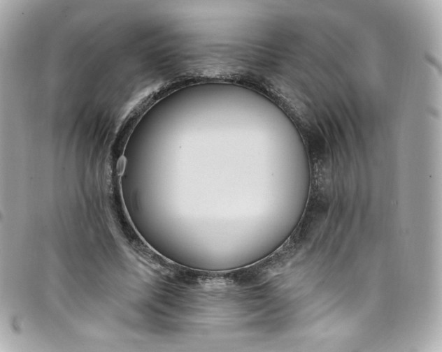 X0000097790587200803211823